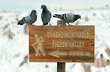 20130305_0924 1